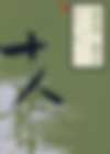 伤寒类方