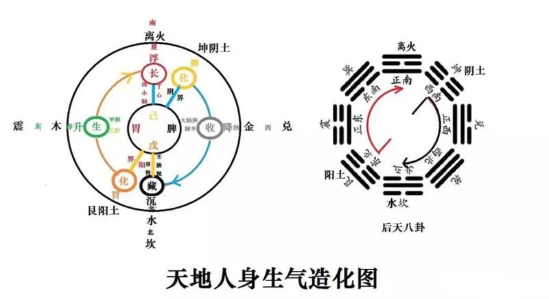 天地人身生气演化